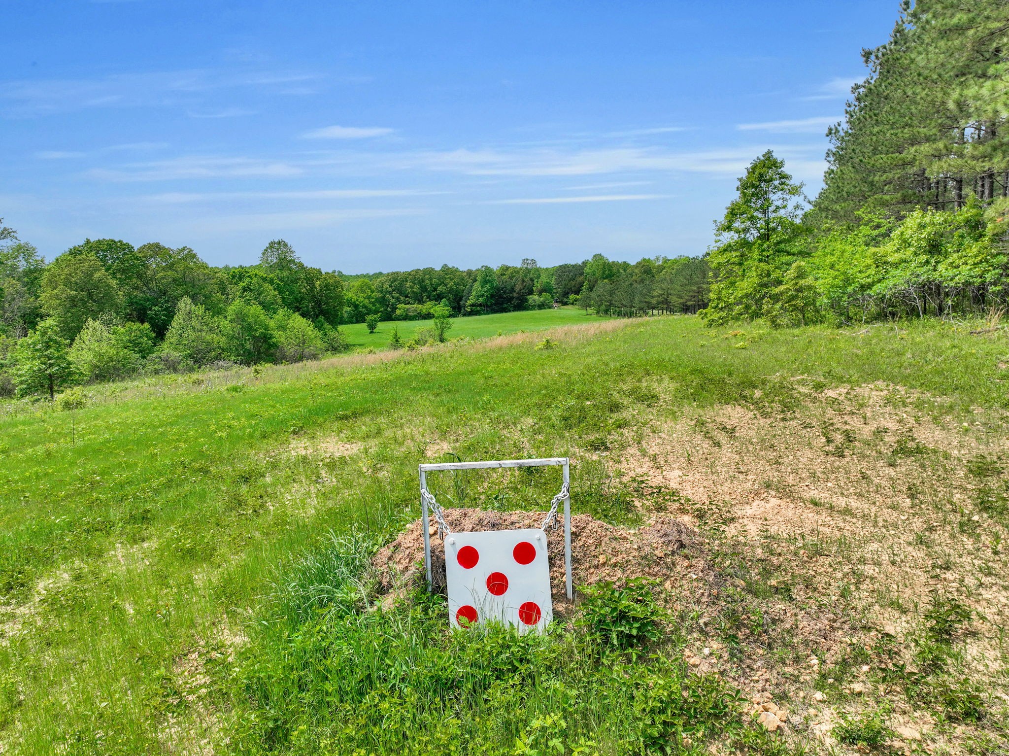 0 Shoulder Strap Branch Road Vanleer, TN 37181 - Photo 28 of 40 Gallery Image 28