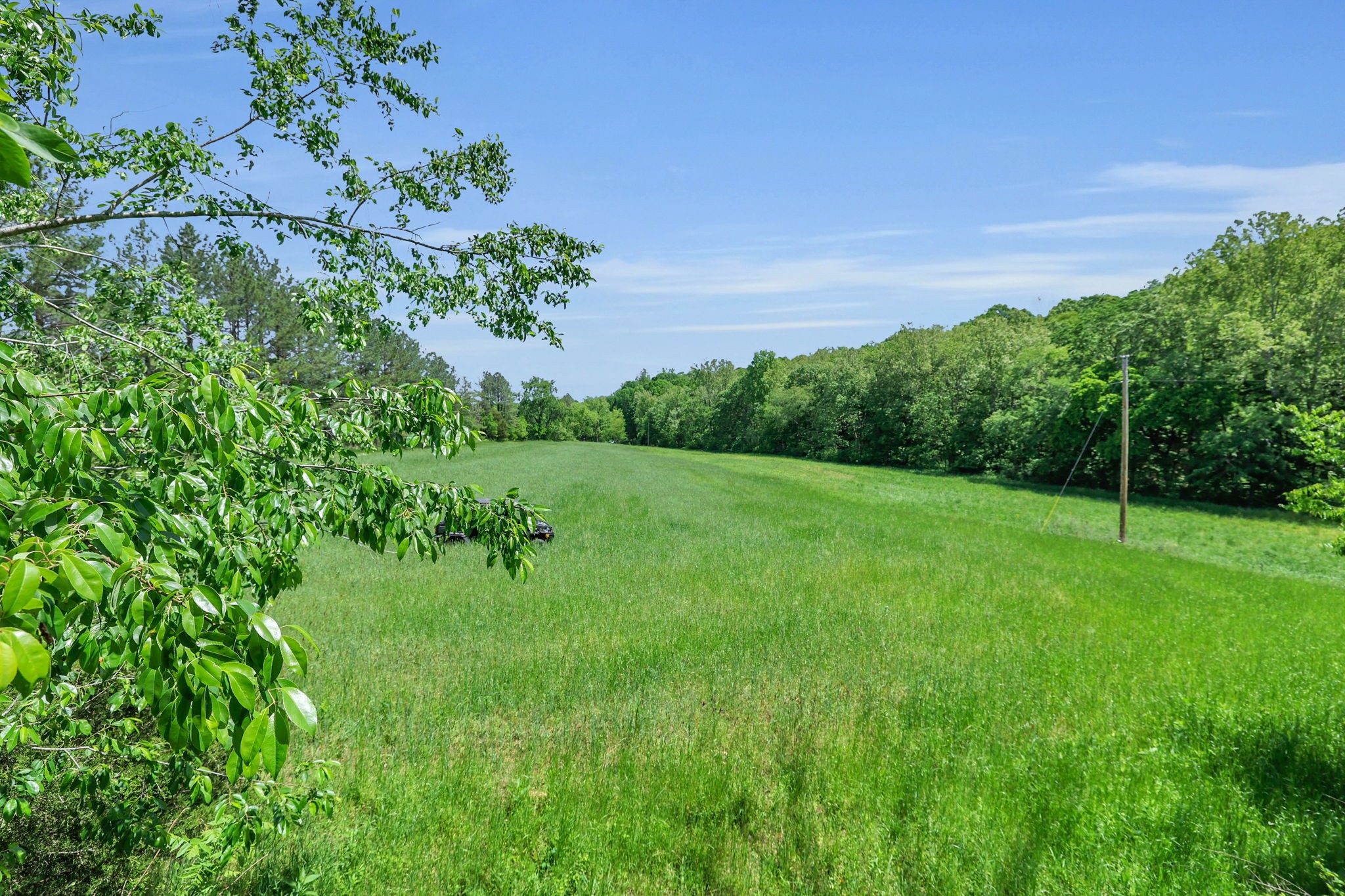 0 Shoulder Strap Branch Road Vanleer, TN 37181 - Photo 3 of 40 Gallery Image 3