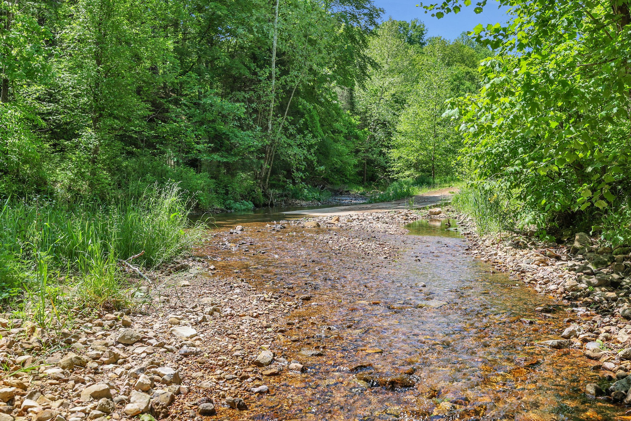 0 Shoulder Strap Branch Road Vanleer, TN 37181 - Photo 31 of 40 Gallery Image 31