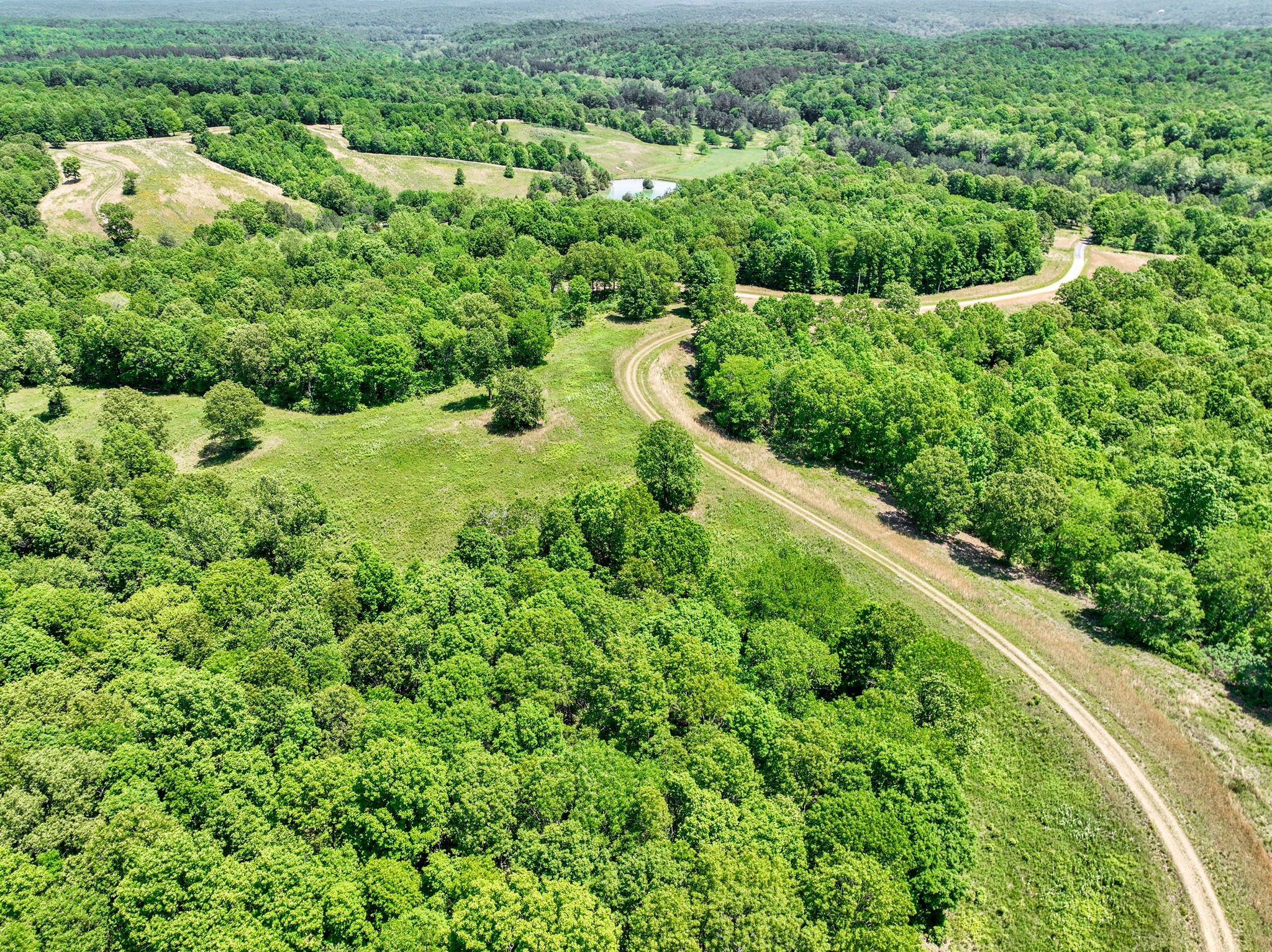 0 Shoulder Strap Branch Road Vanleer, TN 37181 - Photo 33 of 40 Gallery Image 33