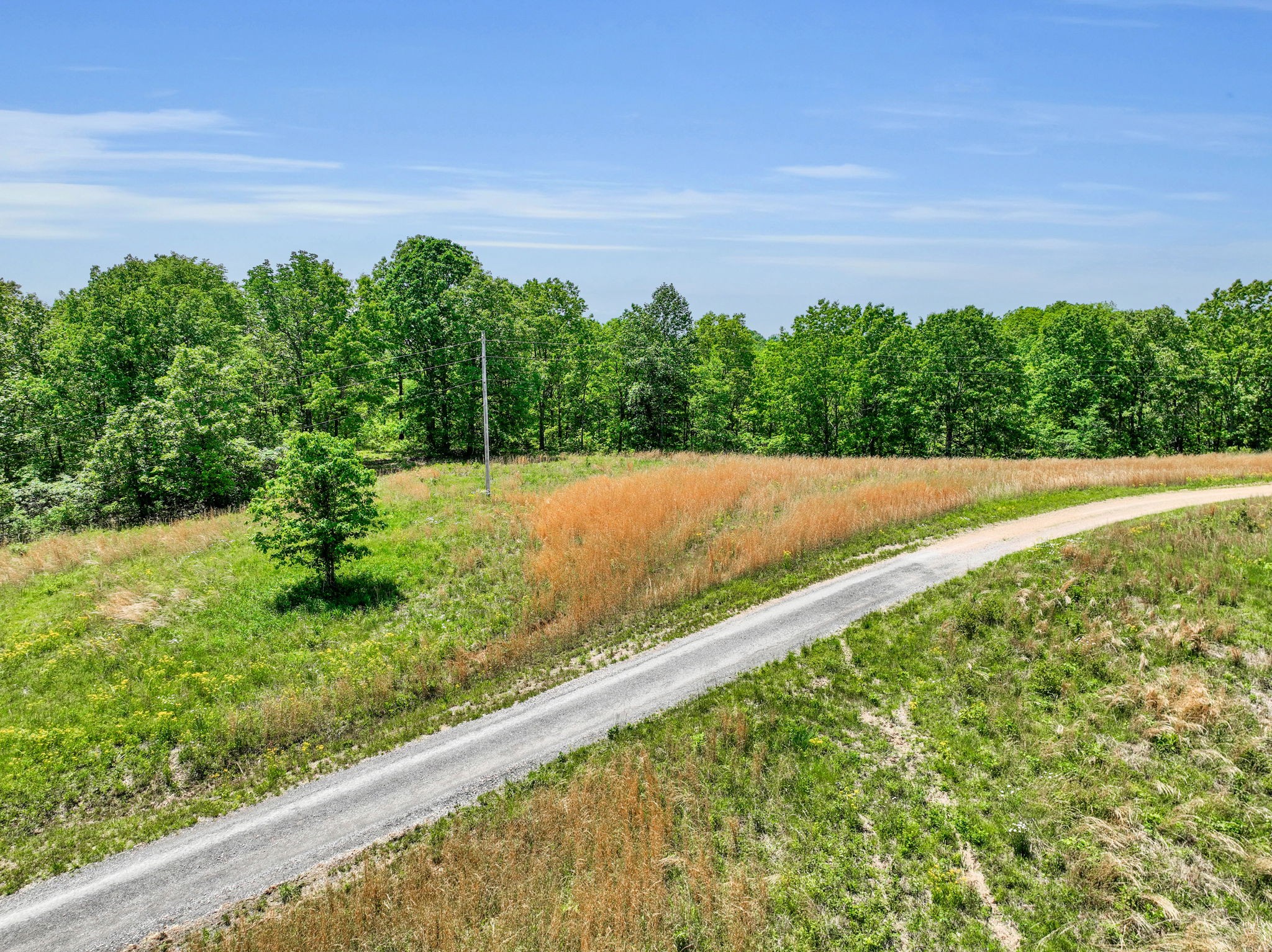0 Shoulder Strap Branch Road Vanleer, TN 37181 - Photo 34 of 40 Gallery Image 34