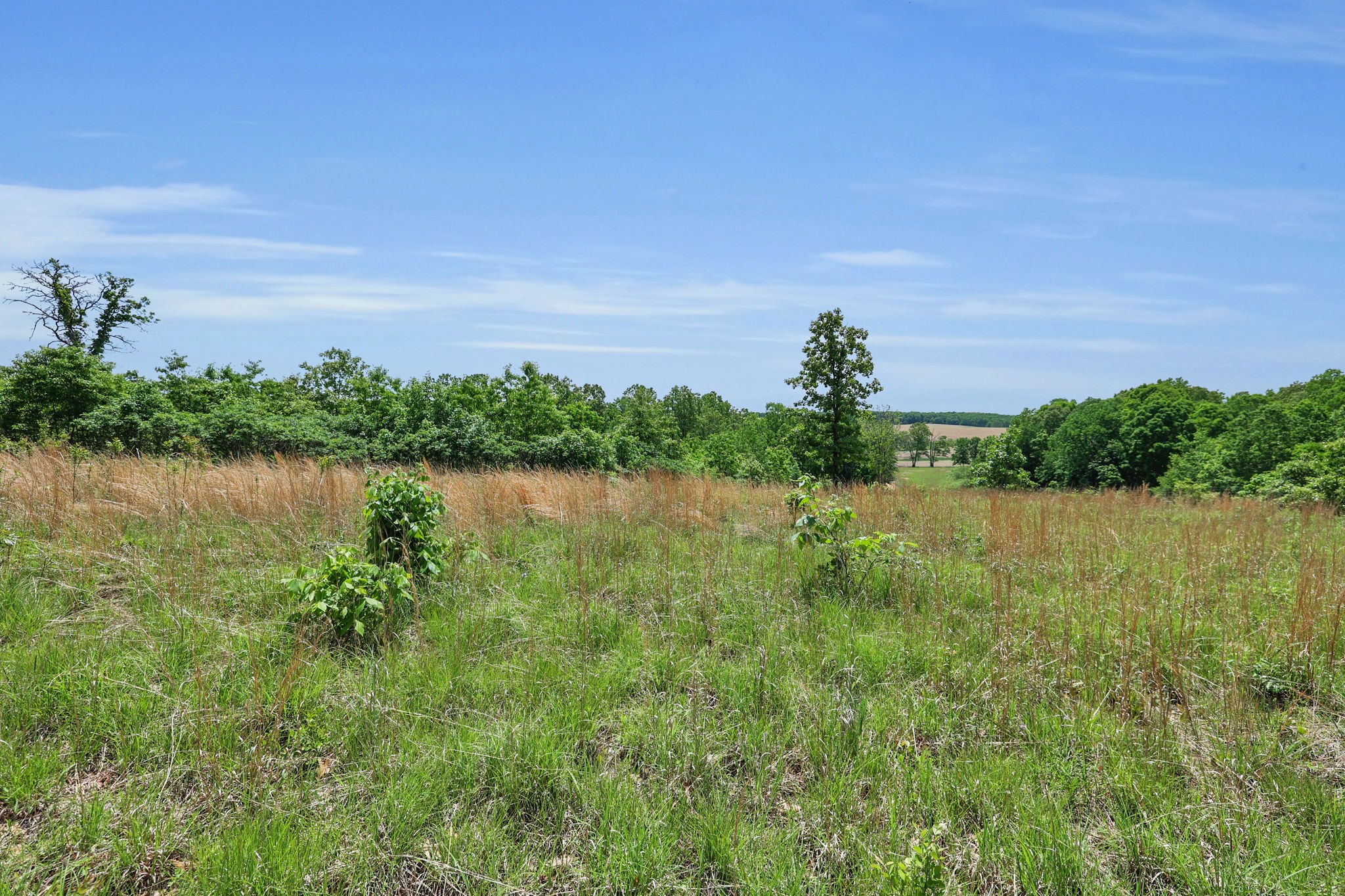 0 Shoulder Strap Branch Road Vanleer, TN 37181 - Photo 35 of 40 Gallery Image 35