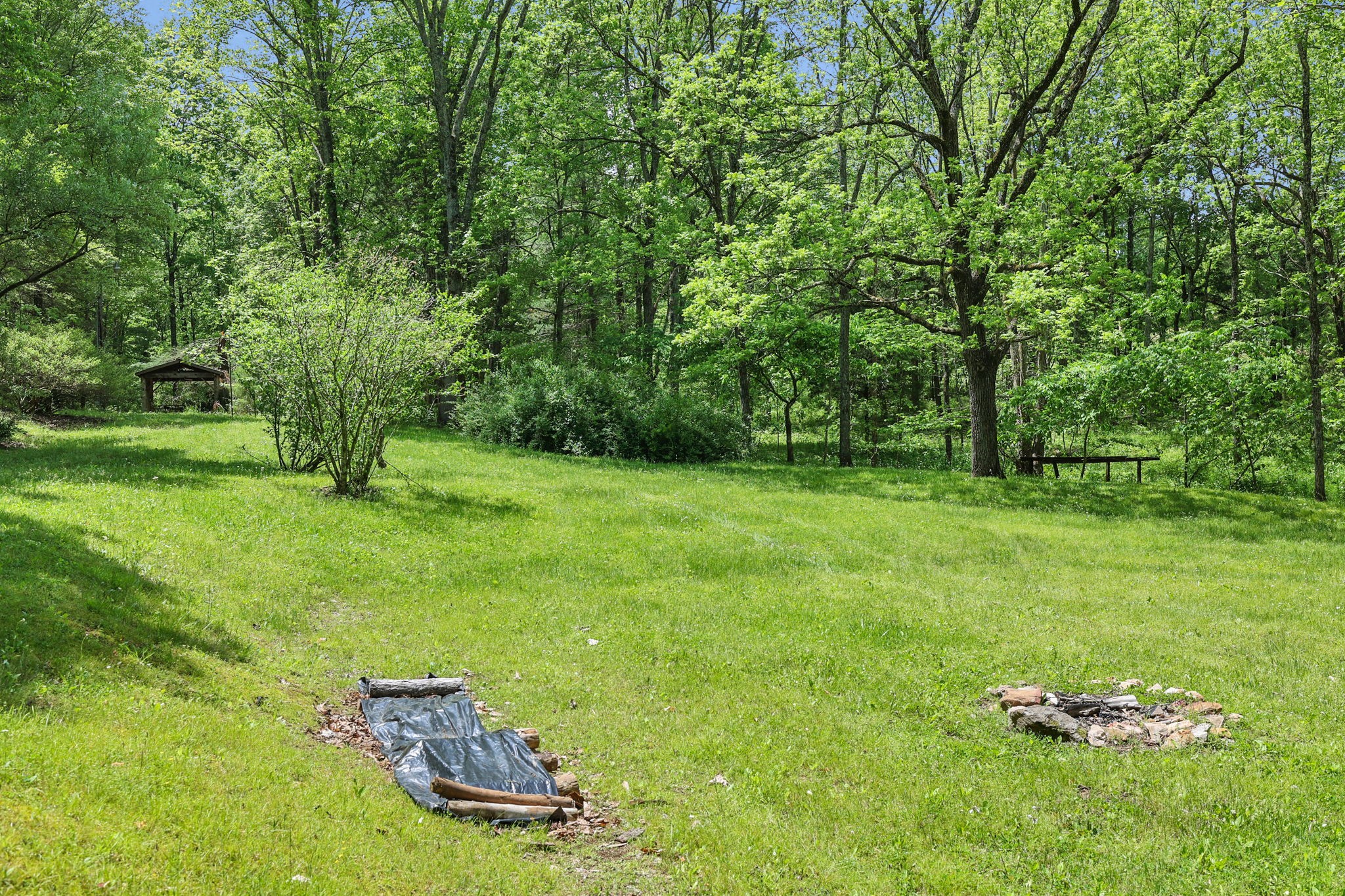 0 Shoulder Strap Branch Road Vanleer, TN 37181 - Photo 36 of 40 Gallery Image 36