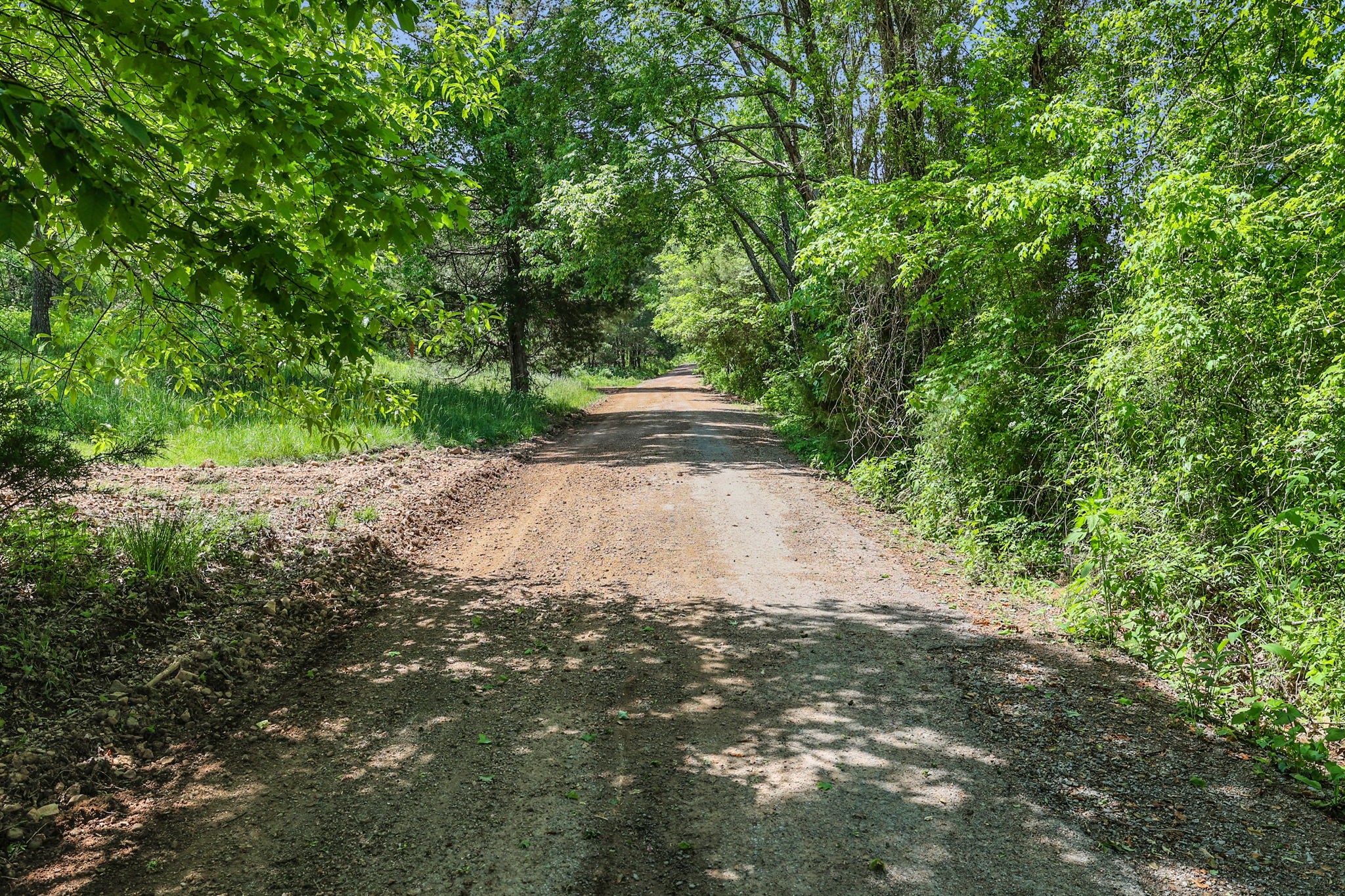 0 Shoulder Strap Branch Road Vanleer, TN 37181 - Photo 40 of 40 Gallery Image 40