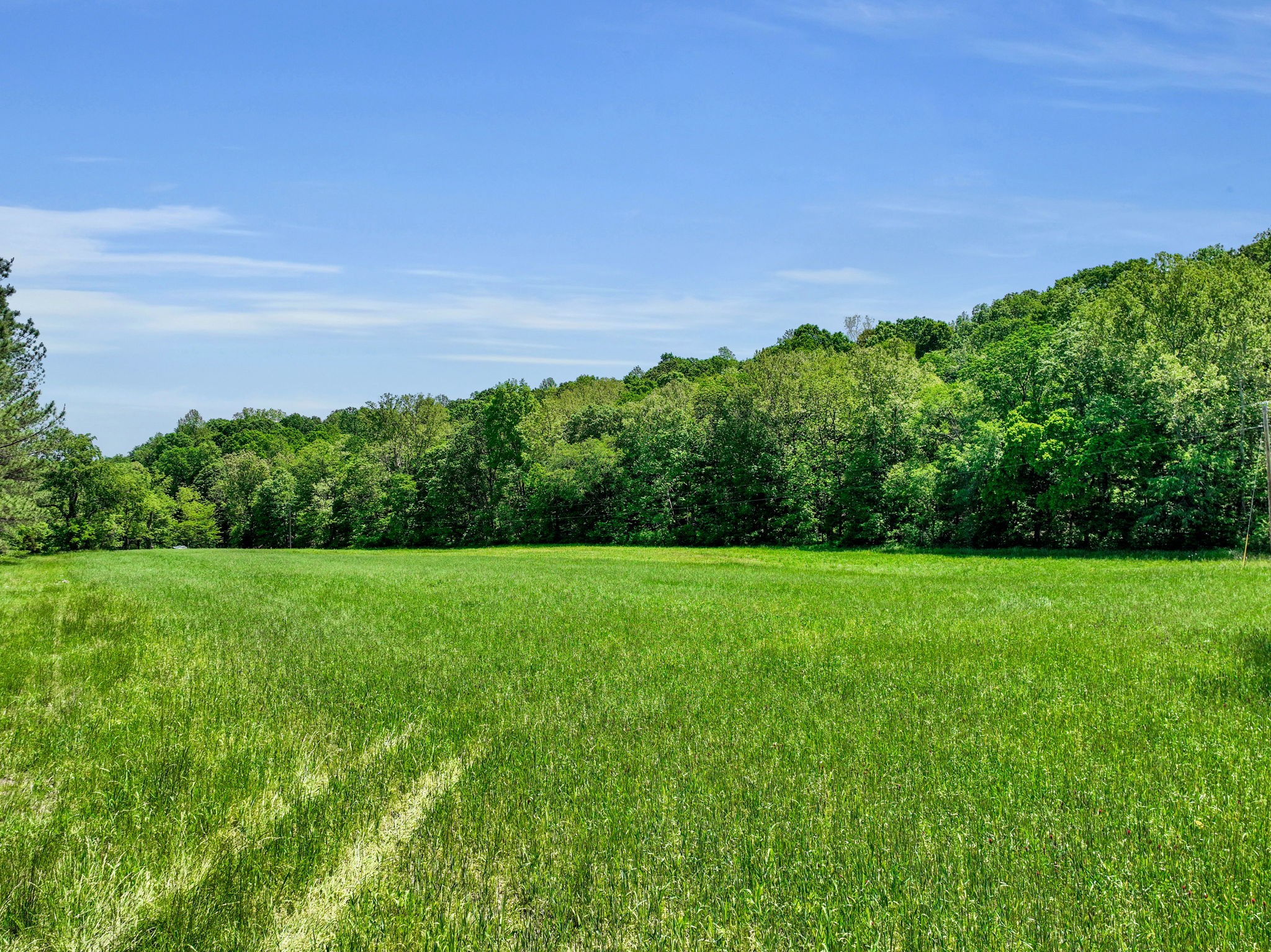 0 Shoulder Strap Branch Road Vanleer, TN 37181 - Photo 4 of 40 Gallery Image 4
