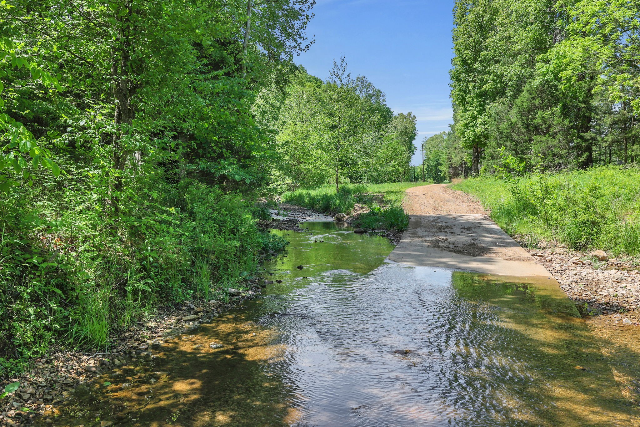 0 Shoulder Strap Branch Road Vanleer, TN 37181 - Photo 8 of 40 Gallery Image 8
