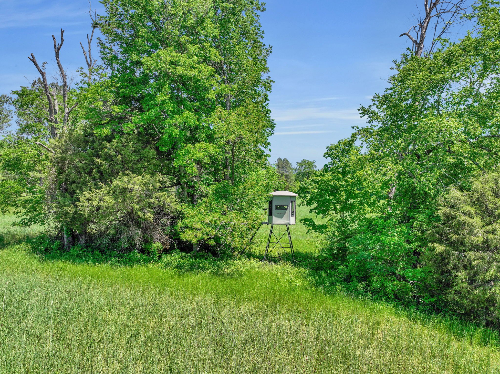 0 Shoulder Strap Branch Road Vanleer, TN 37181 - Photo 9 of 40 Gallery Image 9