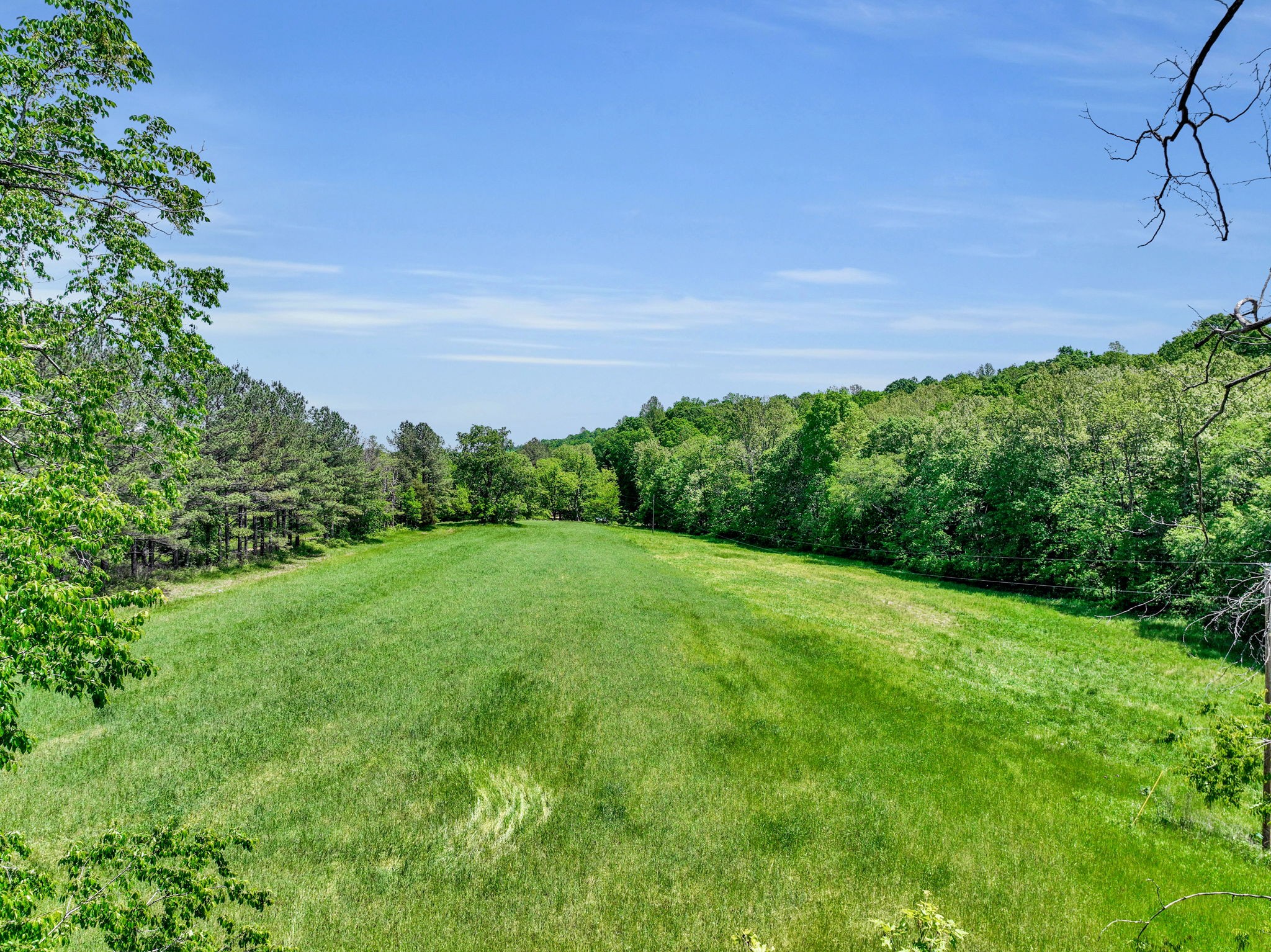 0 Shoulder Strap Branch Road Vanleer, TN 37181 - Photo 10 of 40 Gallery Image 10