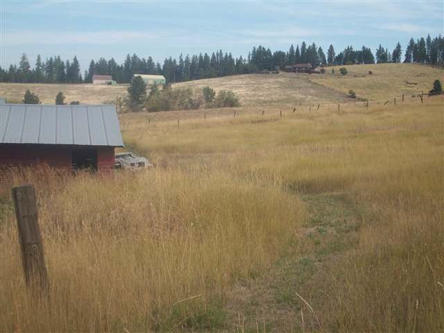 14705 East Tallman Road Chattaroy, WA 99003 - Photo 6 of 8