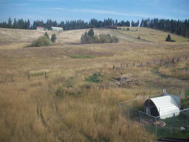 14705 East Tallman Road Chattaroy, WA 99003 - Photo 8 of 8
