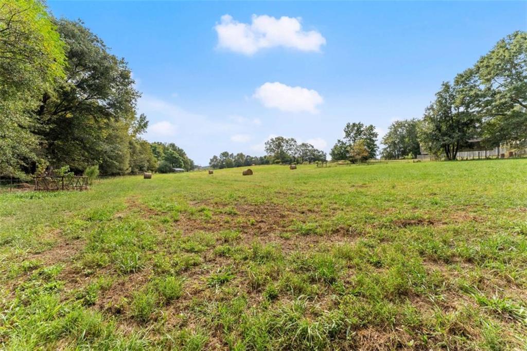 3322 Cheek Pulliam Road Royston, GA 30662 - Photo 47 of 61 a view of a big yard with a large trees
