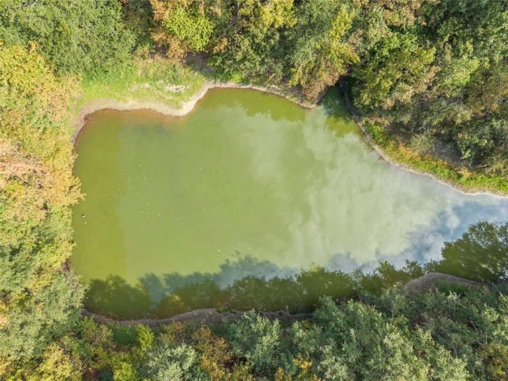 3322 Cheek Pulliam Road Royston, GA 30662 - Photo 57 of 61