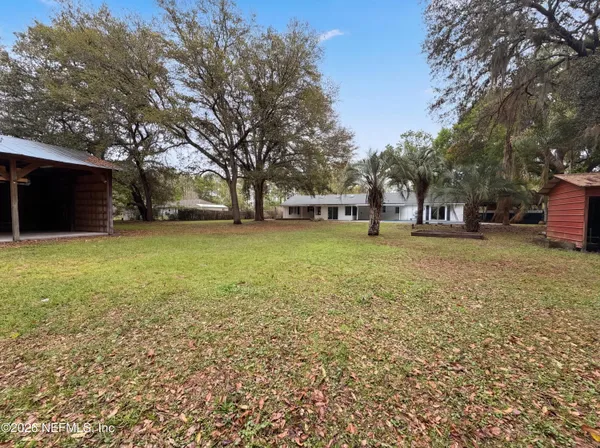 a view of a field with a tree in the background