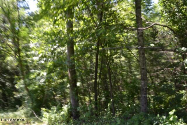 2390 Pea Ridge Fire Tower Road Celina, TN 38551 - Photo 17 of 58 DSC_0089