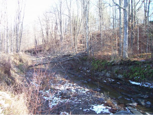 530 Castleman Road Vestal, NY 13850 - Photo 11 of 12 Gallery Image 11