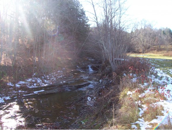 530 Castleman Road Vestal, NY 13850 - Photo 12 of 12 Gallery Image 12