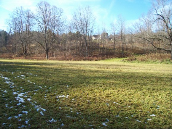 530 Castleman Road Vestal, NY 13850 - Photo 3 of 12 Gallery Image 3
