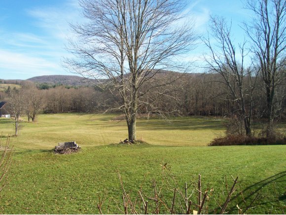 530 Castleman Road Vestal, NY 13850 - Photo 8 of 12 Gallery Image 8