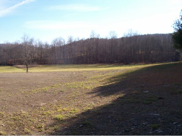 530 Castleman Road Vestal, NY 13850 - Photo 10 of 12 Gallery Image 10