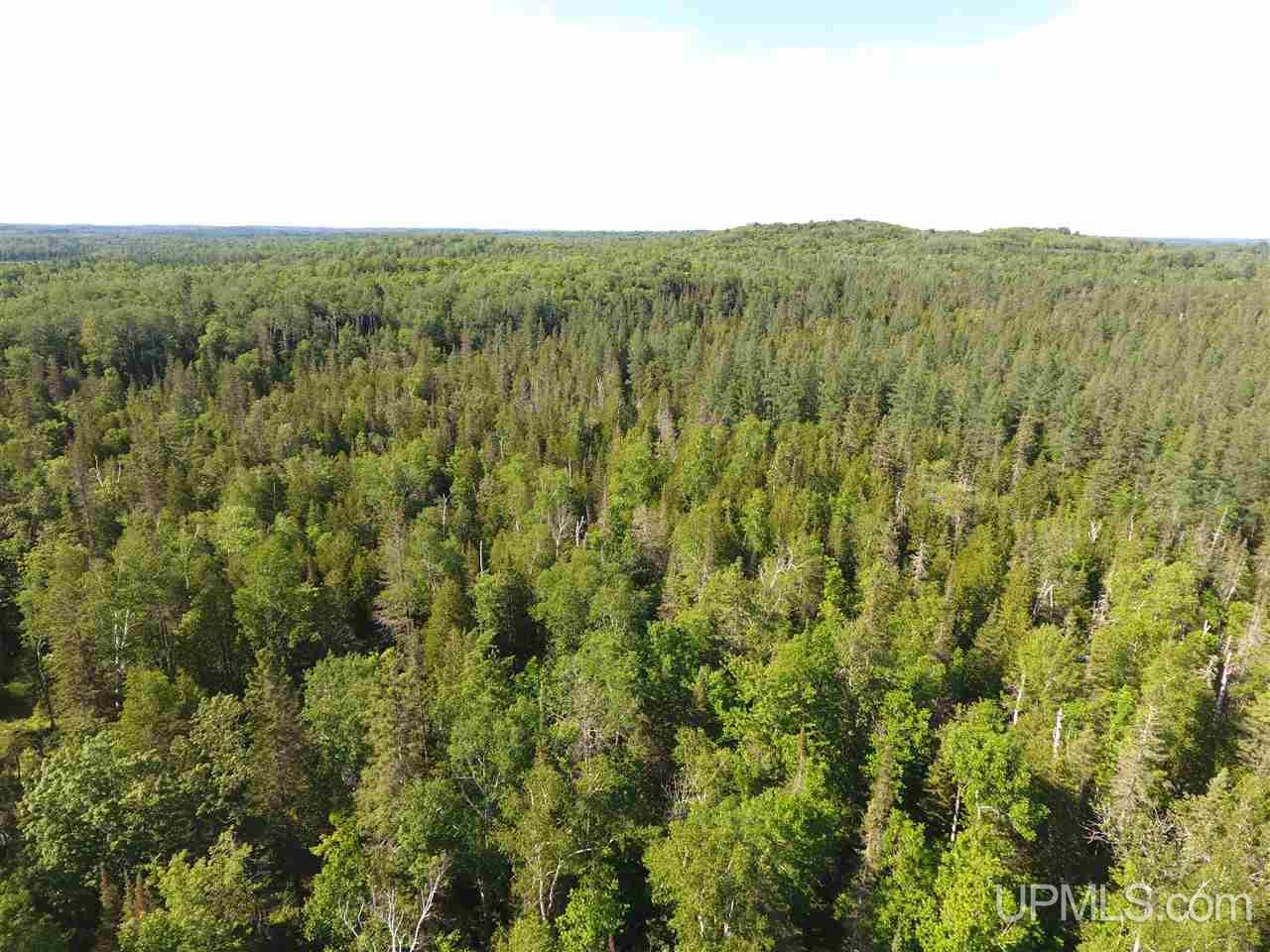 Tbd Co Rd Ppl Ishpeming, MI 49849 - Photo 7 of 30