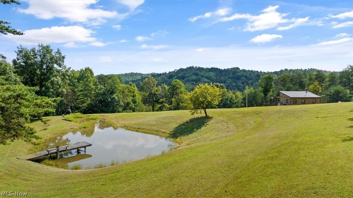 1656 Racy Road Petroleum, WV 26161 - Photo 5 of 21 Pond