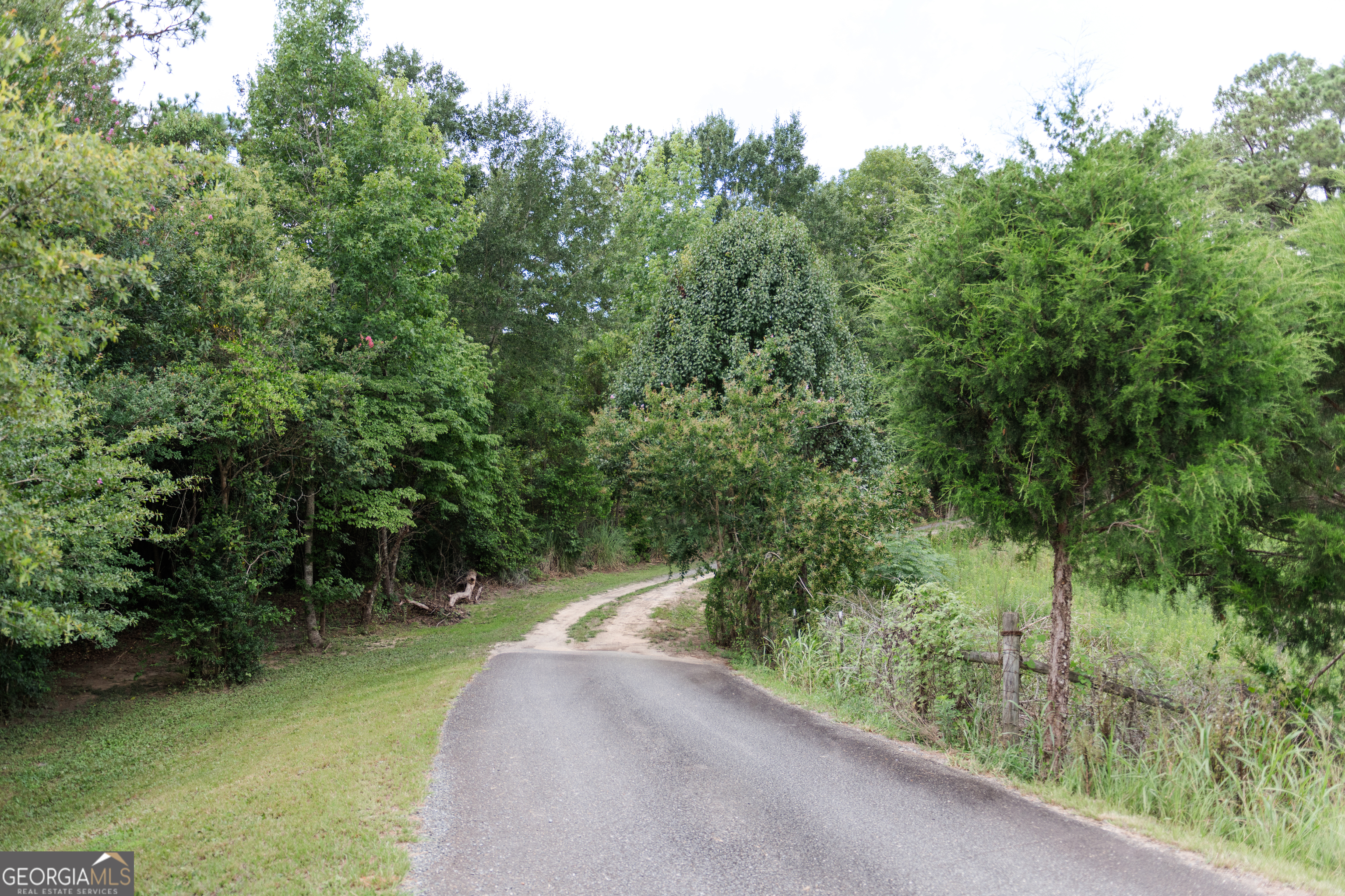 348 Americus Highway Butler, GA 31006 - Photo 57 of 59 a view of a river covered with trees