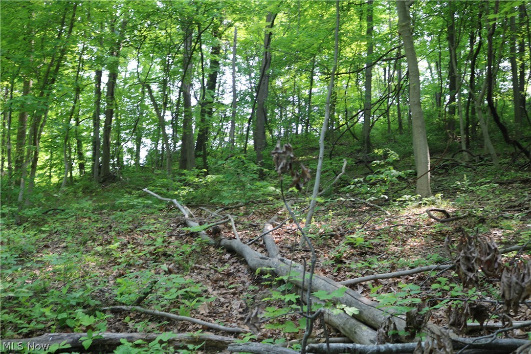 799 State Road Freeport, OH 43973 - Photo 14 of 22 Gallery Image 14