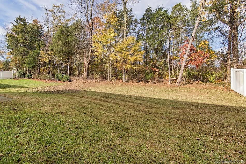 11217 Anna Rose Road Charlotte, NC 28273 - Photo 22 of 22