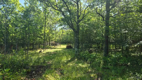 $50,000 | 1021 Sedar Hill(parcel C) Road, Unit PARCEL C, Calumet, MI 49913
