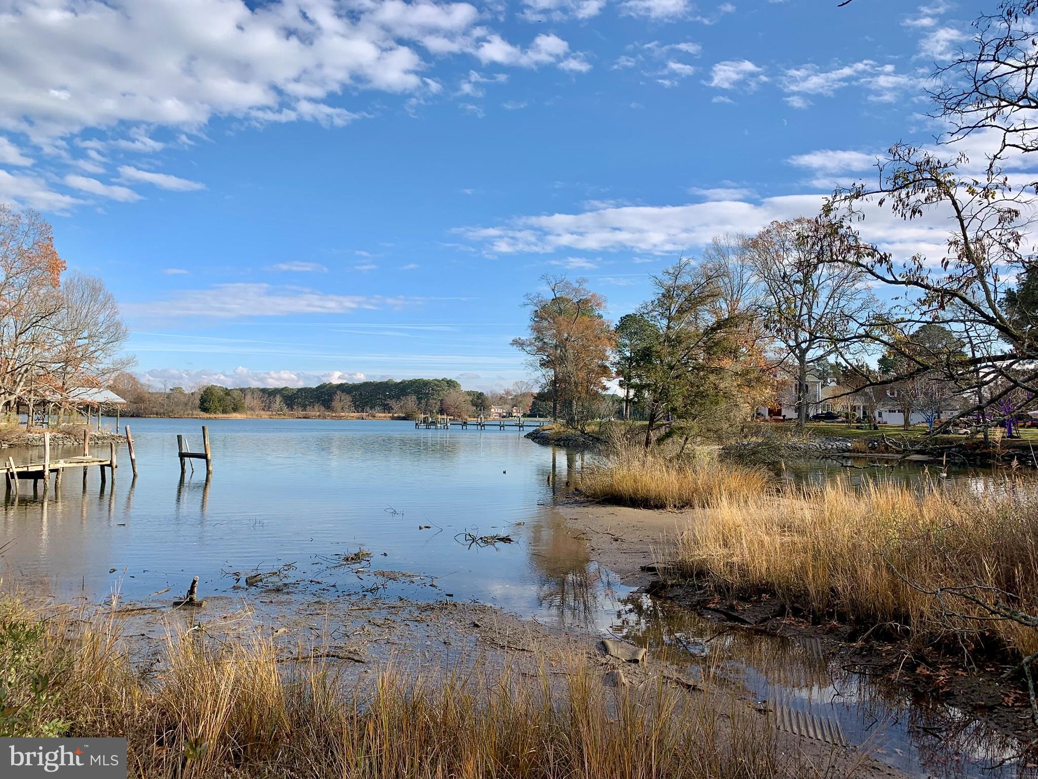 7375 Station Road Newcomb, MD 21653 - Photo 6 of 24 water view from back yard