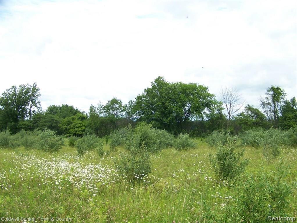 8101 Whitney Road Gaines, MI 48436 - Photo 44 of 57 Gallery Image 44