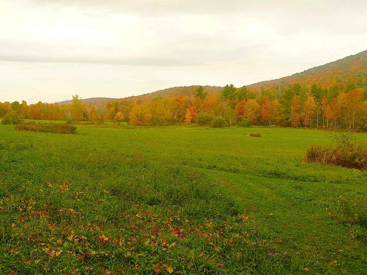 1237 Pond Road, Unit 1 Fletcher, VT 05464 - Photo 4 of 13