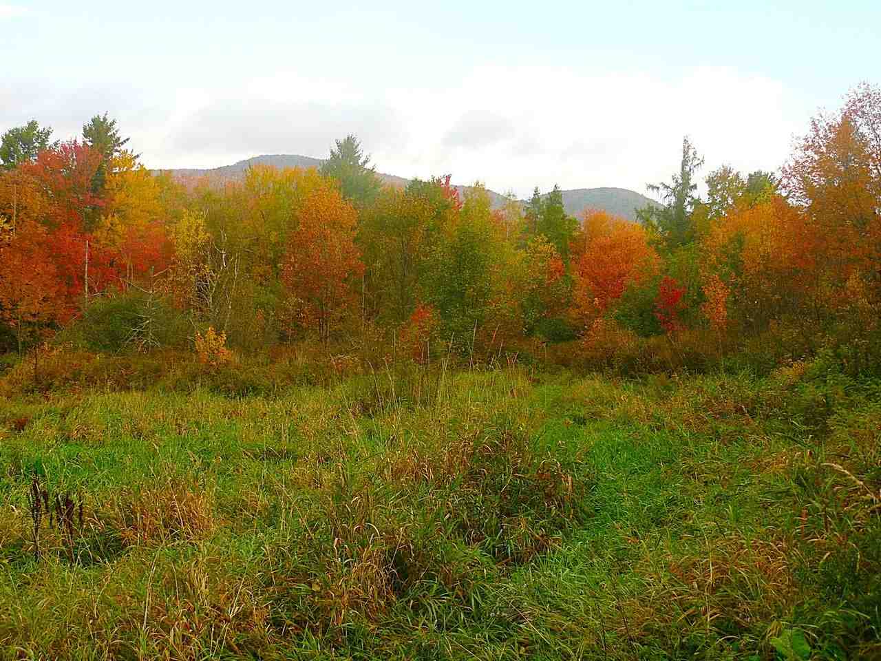 1237 Pond Road, Unit 1 Fletcher, VT 05464 - Photo 6 of 13