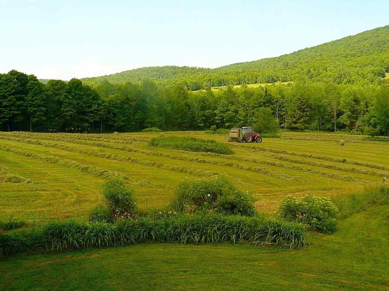 1237 Pond Road, Unit 1 Fletcher, VT 05464 - Photo 7 of 13