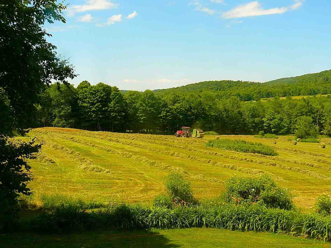 1237 Pond Road, Unit 1 Fletcher, VT 05464 - Photo 8 of 13