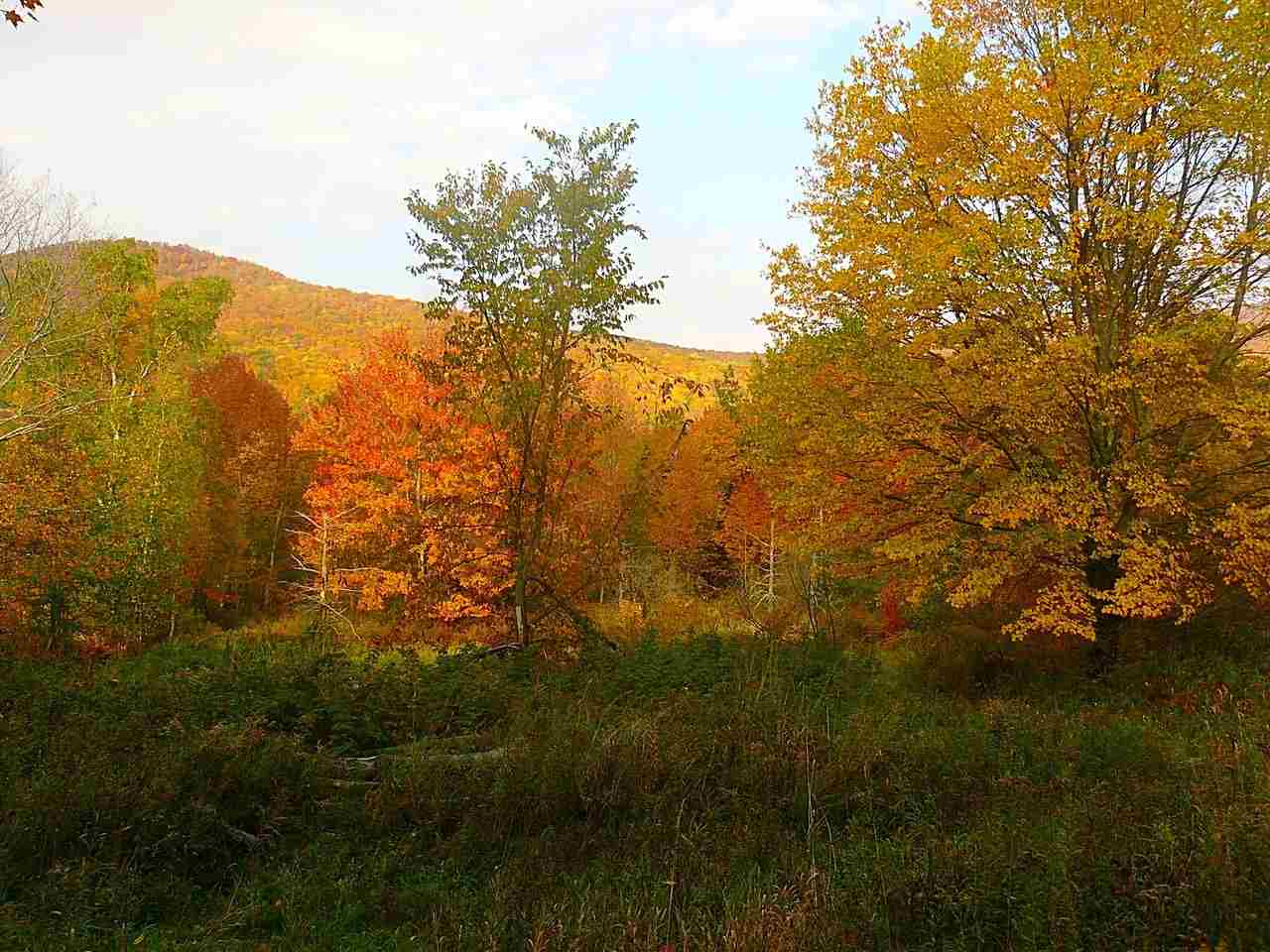 1237 Pond Road, Unit 1 Fletcher, VT 05464 - Photo 10 of 13