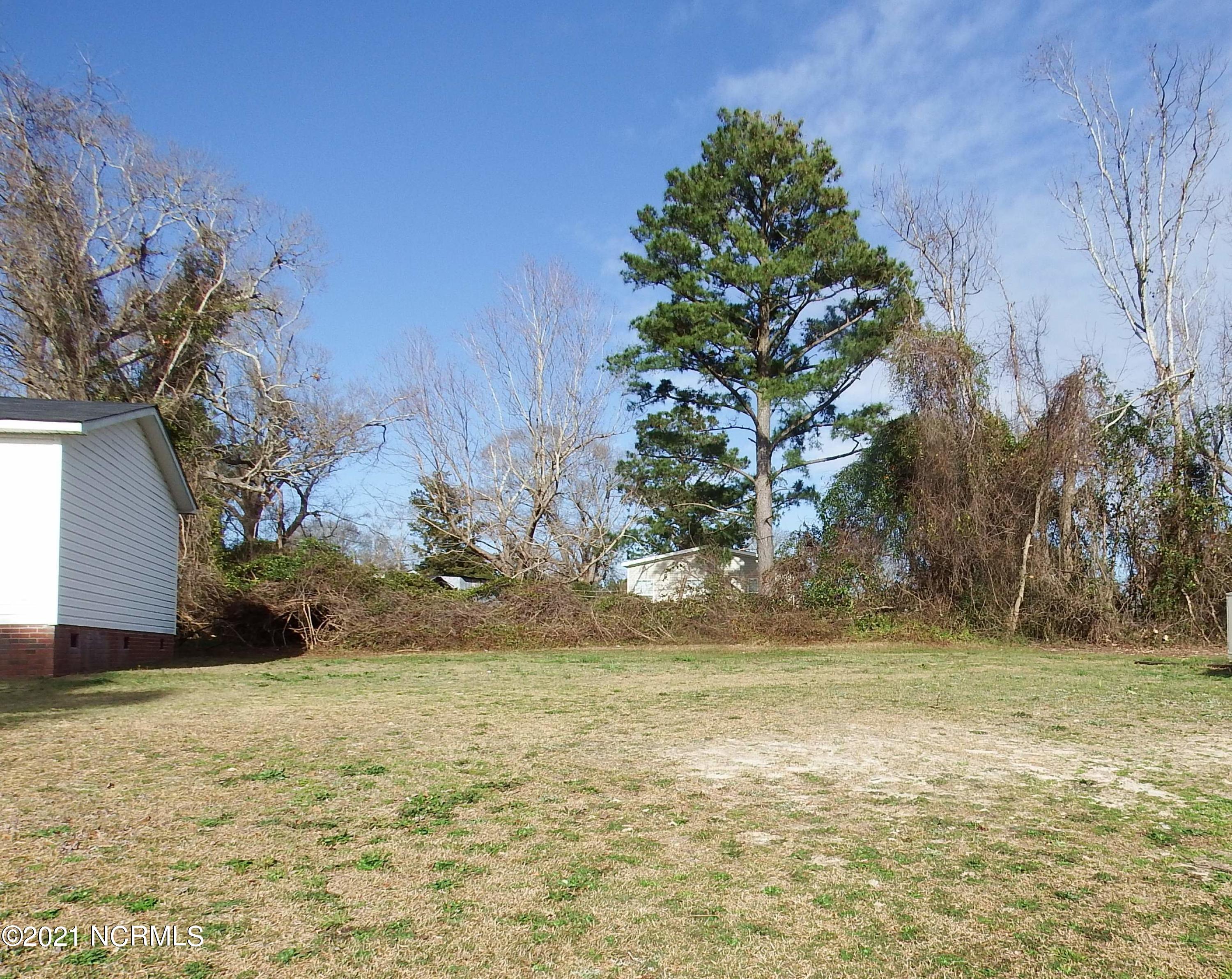 103 Moores Landing Road Hampstead, NC 28443 - Photo 31 of 41 Side Yard