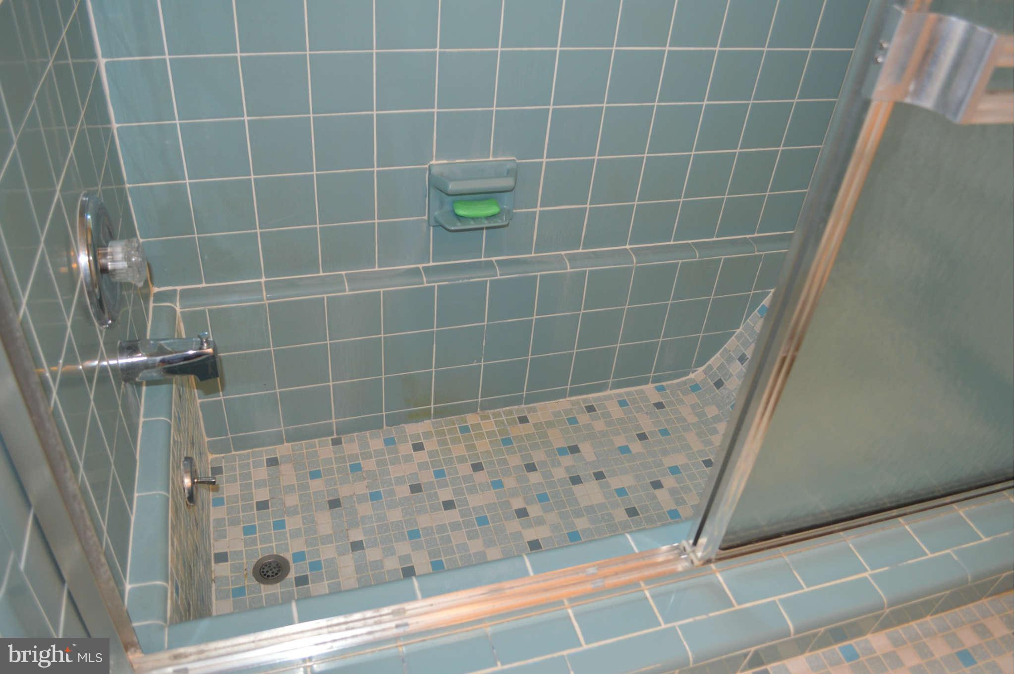 1679 Irishtown Road Elkton, MD 21921 - Photo 16 of 30 Step up to the custom tub with reclined backrest
