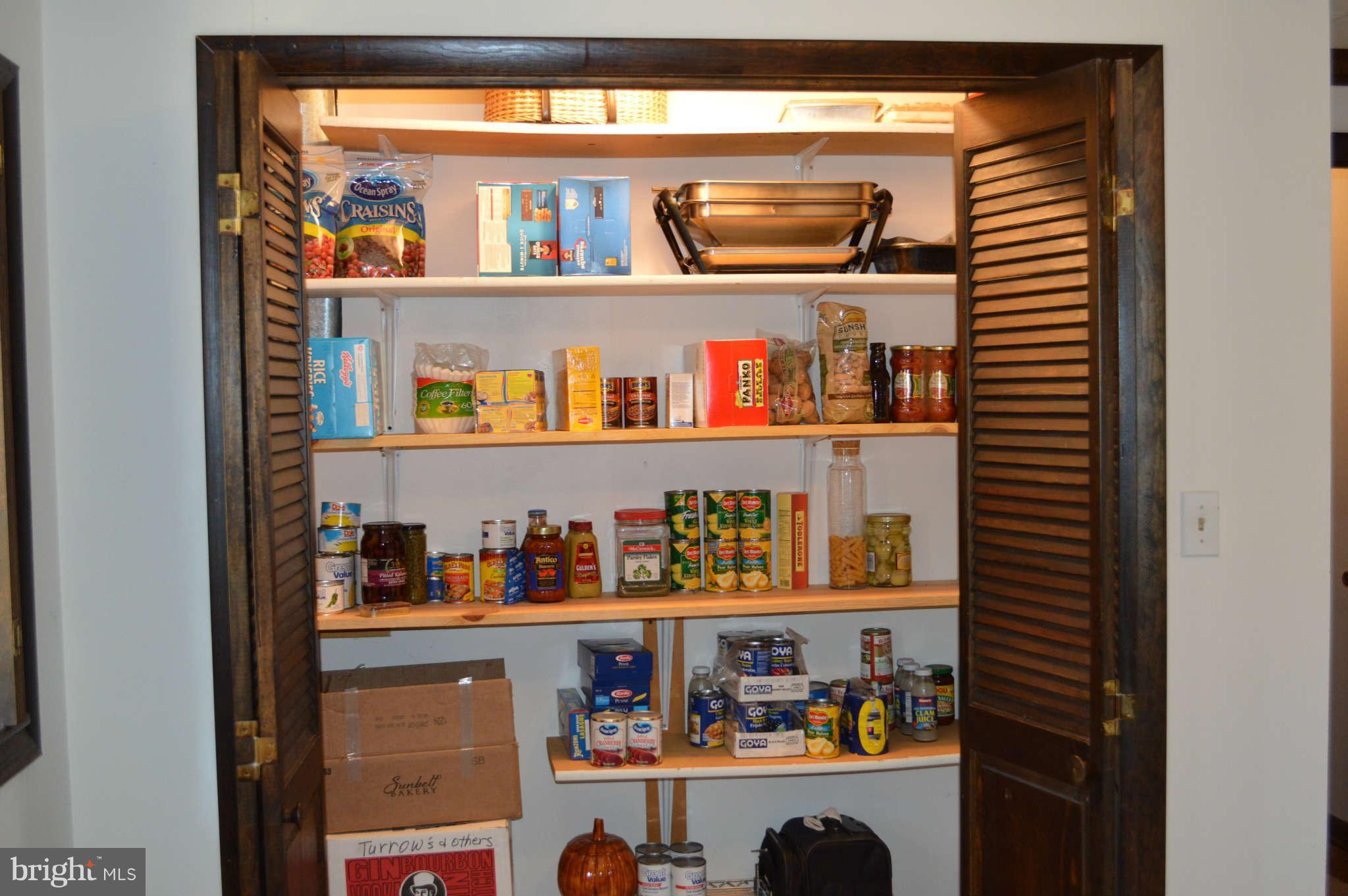 1679 Irishtown Road Elkton, MD 21921 - Photo 22 of 30 Lower level storage/pantry