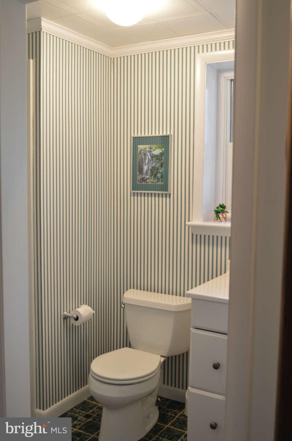1679 Irishtown Road Elkton, MD 21921 - Photo 24 of 30 Lower level Powder Room