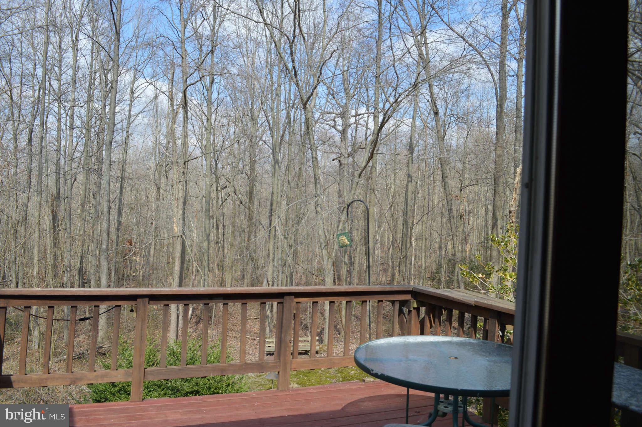 1679 Irishtown Road Elkton, MD 21921 - Photo 9 of 30 Morning coffee overlooking your own park?