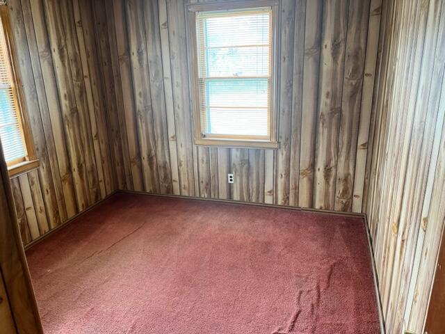 18 Little River Road Goshen, VA 24439 - Photo 10 of 18 IMG_6184