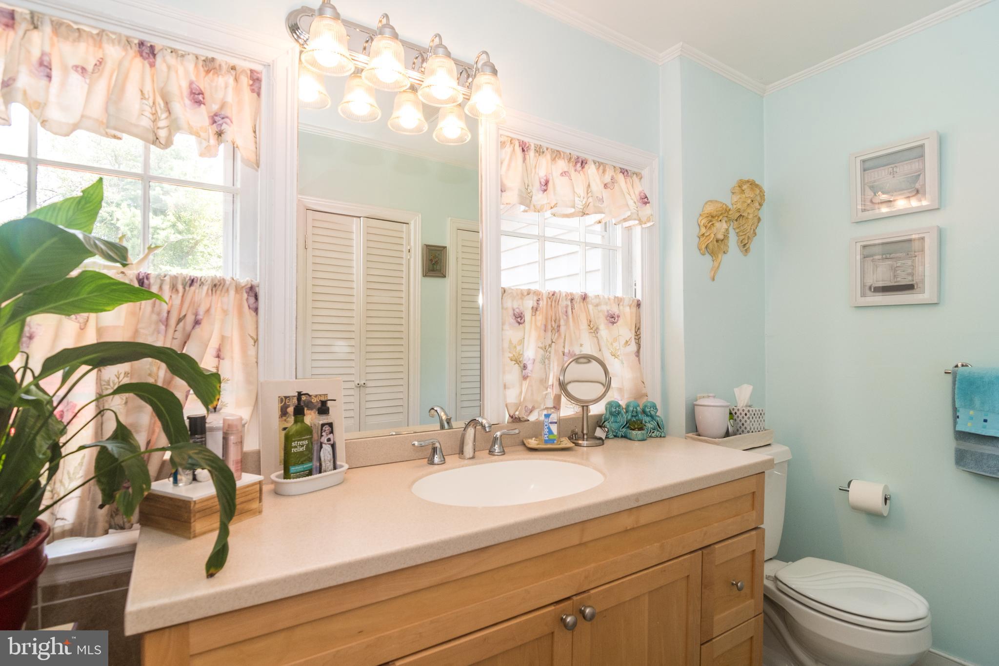 2618 North Sugan Road New Hope, PA 18938 - Photo 20 of 38 Hall Bathroom