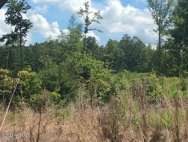 599 Medical Center Road Gates, NC 27937 - Photo 3 of 3 pic 2 599 med