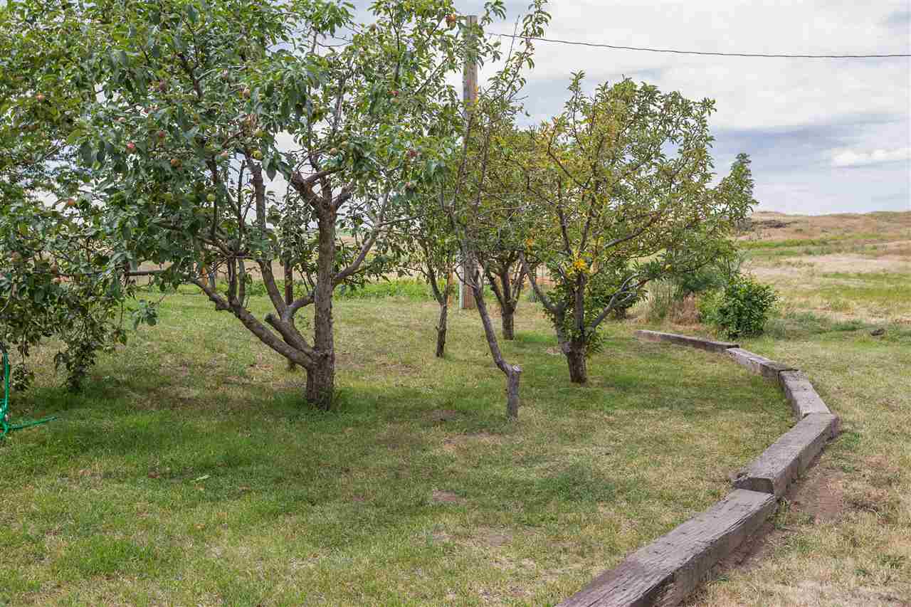 17919 West Jacobs Road Spokane, WA 99224 - Photo 18 of 20
