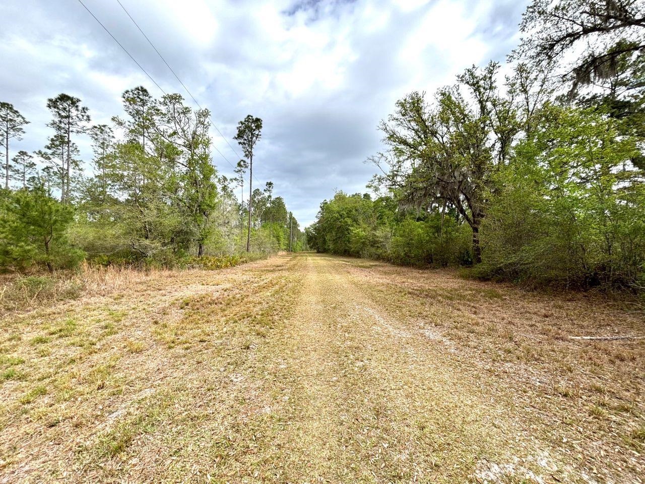 Vacant Southwest Ontario Road Greenville, FL 32331 - Photo 3 of 11