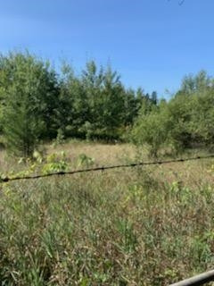 V/l Grossman Road Manchester, MI 48158 - Photo 2 of 6