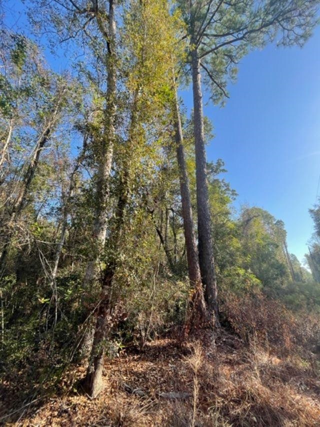 Walling Road Milton, FL 32570 - Photo 1 of 12 Gallery Image 1