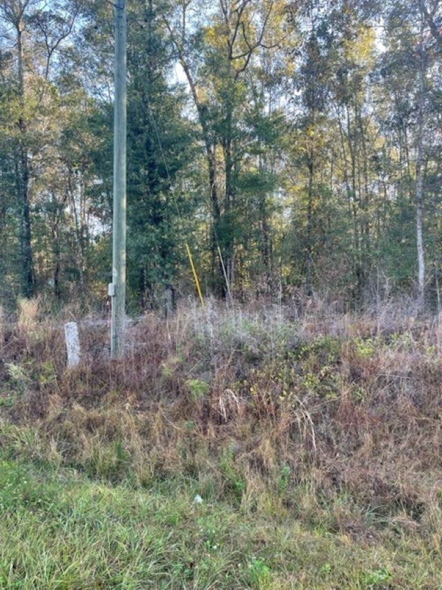 Walling Road Milton, FL 32570 - Photo 11 of 12 Gallery Image 11