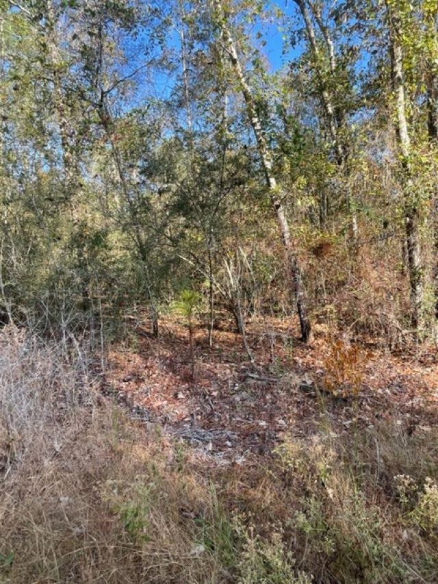 Walling Road Milton, FL 32570 - Photo 2 of 12 Gallery Image 2